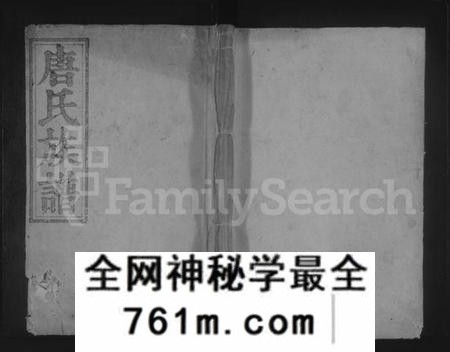 湖南唐氏族谱-上方唐氏族谱.pdf电子版