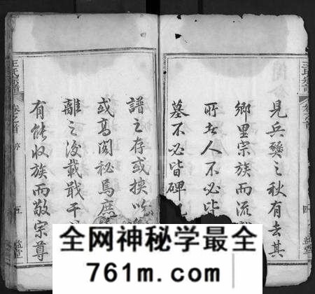 湖北王氏族谱-王氏宗谱 [4卷,首末各1卷](别名：Wang Shi Zong Pu).pdf电子版