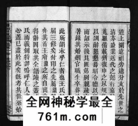 湖北王氏族谱-王氏宗谱 [10卷,首2卷](别名：Wang Shi Zong Pu、王氏宗谱).pdf电子版