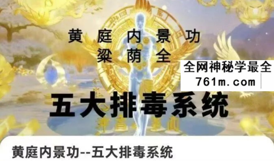梁荫全 黄庭内景功 五大排毒系统9集