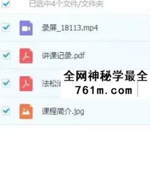 法松《治眼疾专题课》视频+文档