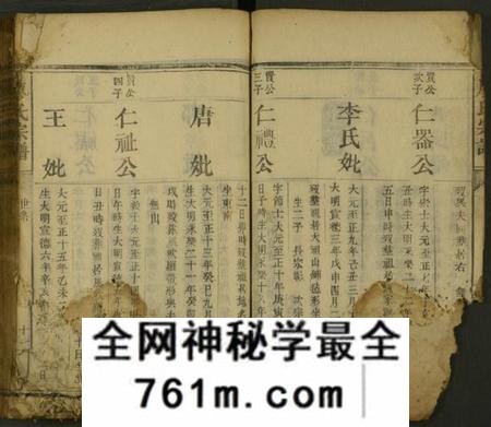 湖南廖氏族谱-廖氏族谱 [残卷].pdf电子版