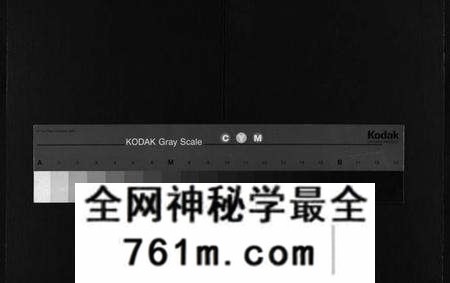 湖北徐氏族谱-徐氏宗谱[15卷,首4卷](别名：Xu Shi Zong Pu).pdf电子版