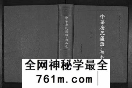 湖南唐氏族谱-中华唐氏通谱.湖南省卷[3卷].pdf电子版