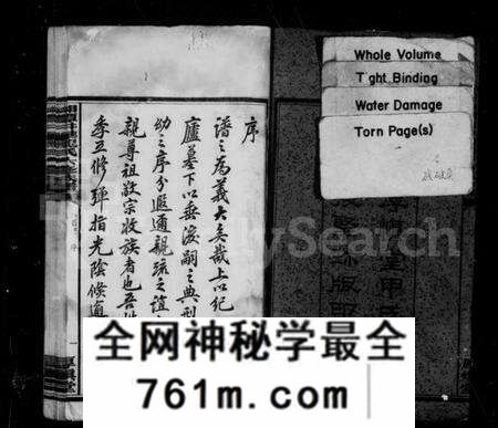 湖南龙氏族谱-湘潭井华龙氏六修族谱 [4卷,首2卷,末5卷].pdf电子版