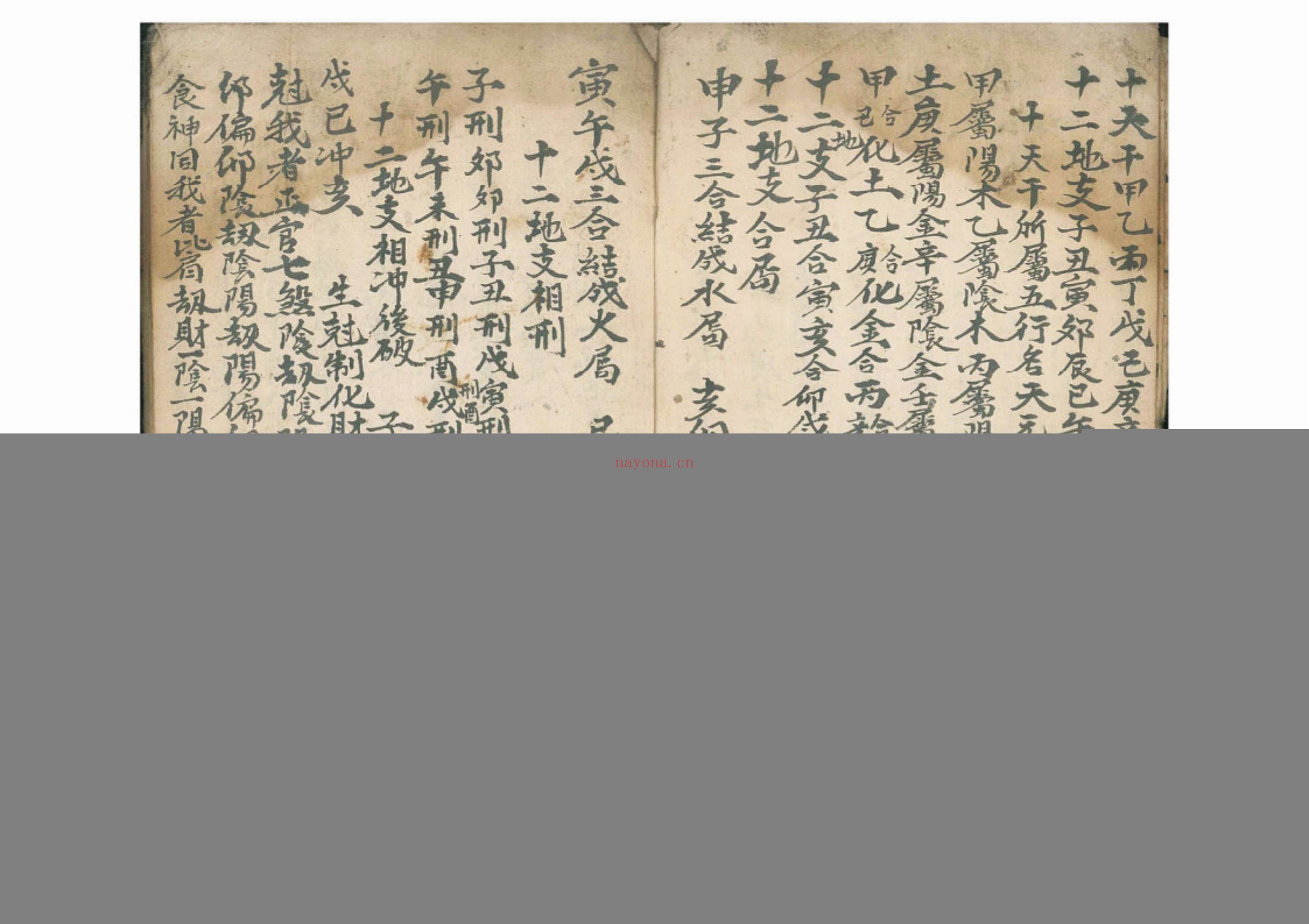 命理律条