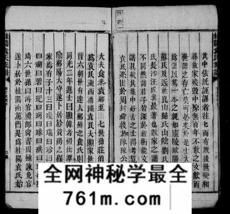 湖南袁氏族谱-桂阳袁氏族谱 [不分卷].pdf电子版