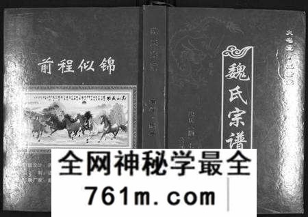 湖北魏氏族谱-魏氏宗谱[12卷首1卷附1卷].pdf电子版