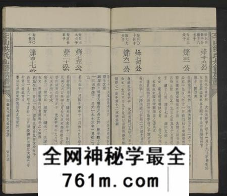 江西洪氏族谱-左山洪氏九修族谱[不分卷].pdf电子版