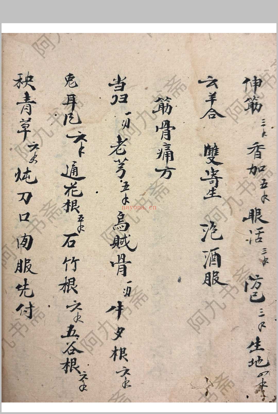 衣钵秘传 （医） 郑惠寿