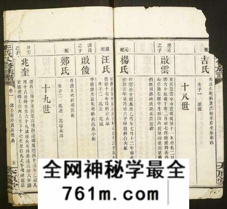 湖南王氏族谱-王氏八修族谱.pdf电子版