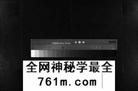 湖北朱氏族谱-朱氏族谱二刻 [13卷,首末各1卷](别名：朱氏族谱二刻、Zhu Shi Zu Pu Er Ke).pdf电子版