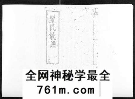 江西罗氏族谱-马冻大安罗氏七修易知族谱.pdf电子版