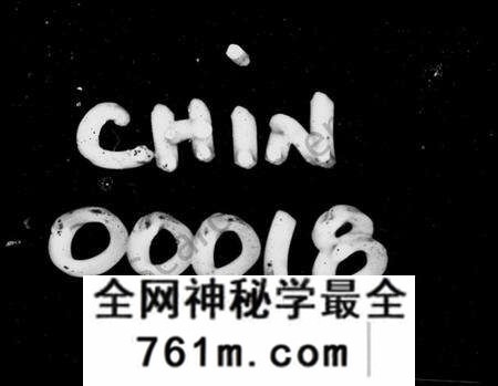 湖南张氏族谱-张氏族谱 [32卷,首3卷].pdf电子版