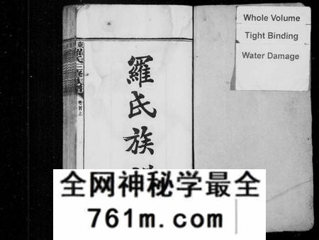 湖南罗氏族谱-罗氏族谱 [23卷,首2卷,末1卷].pdf电子版