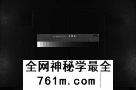 浙江蒋氏族谱-蒋氏大宗谱 [残卷].pdf电子版