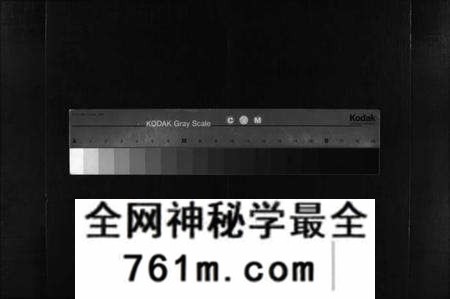 湖北王氏族谱-王氏宗谱 [3卷,首1卷](别名：王氏宗谱金奎房支分续修、王氏宗谱、Wang Shi Zong Pu).pdf电子版