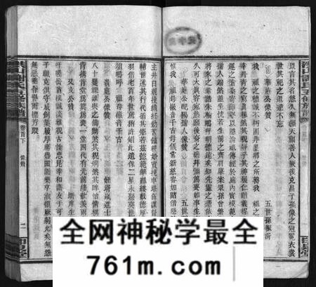 湖南未知族谱-洪山谢氏五修族谱 [21卷,首2卷,末4卷].pdf电子版