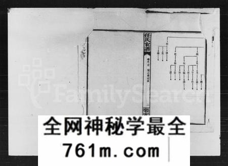 湖南陈氏族谱-陈氏通谱.pdf电子版