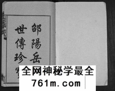 湖南岳氏族谱-中华岳氏统谱邵阳分谱[28卷].pdf电子版