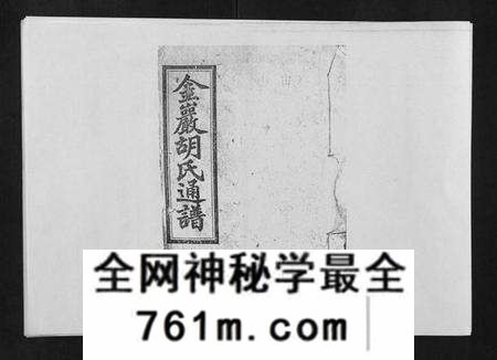 湖南胡氏族谱-金严胡氏族谱.pdf电子版