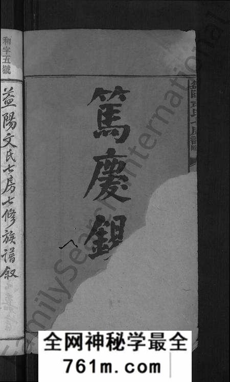 湖南文氏族谱-益阳文氏七房谱, 九房附 [28卷,首2卷,末1卷].pdf电子版