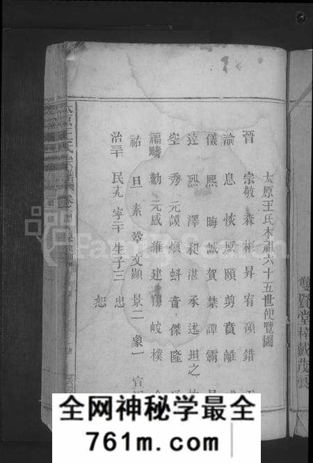 江西王氏族谱-太原王氏宗谱 [10卷,首1卷].pdf电子版
