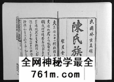 湖南陈氏族谱-鵆山大泉陈氏十一修族谱[43卷首1卷].pdf电子版