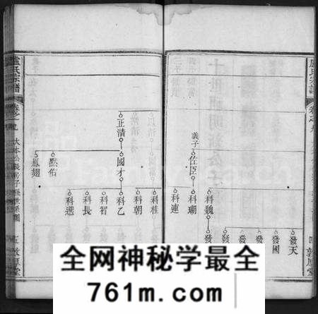 湖北卢氏族谱-卢氏宗谱 [11卷,首1卷](别名：Lu Shi Zong Pu).pdf电子版