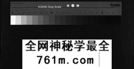 湖南符氏族谱-符氏九修族谱 [30卷].pdf电子版