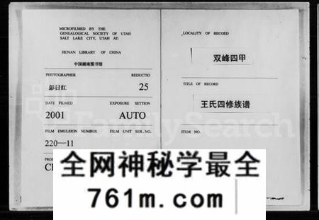 湖南王氏族谱-四甲王氏四修族谱 [15卷,首尾各1卷].pdf电子版