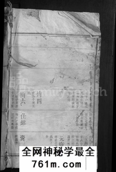 江西胡氏族谱-胡氏宗谱 [12卷,首1卷].pdf电子版