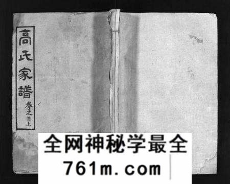 湖北高氏族谱-高氏家谱 [10卷,首2卷](别名：Gao Shi Jiapu).pdf电子版