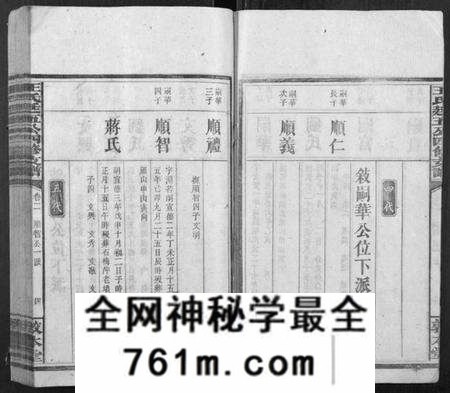 湖南王氏族谱-王氏廷五公四修支谱.pdf电子版