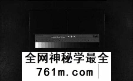 浙江施氏族谱-樟川施氏宗谱 [不分卷].pdf电子版