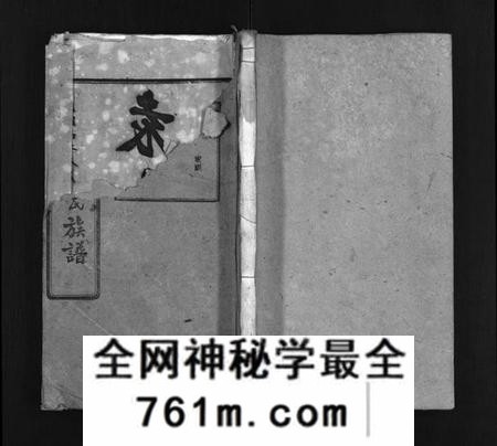 湖南袁氏族谱-潙宁袁家河袁氏族谱 [23卷,首末各1卷].pdf电子版