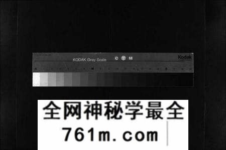 湖北罗氏族谱-罗氏宗谱 [36卷,首4卷](别名：Luo Shi Zong Pu、罗氏宗谱).pdf电子版