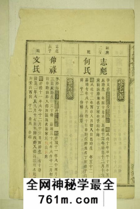 宁乡清河堂傅氏四修族谱