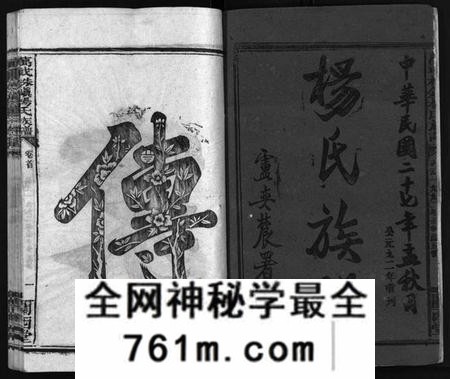 湖南杨氏族谱-杨氏大成族谱[27卷].pdf电子版