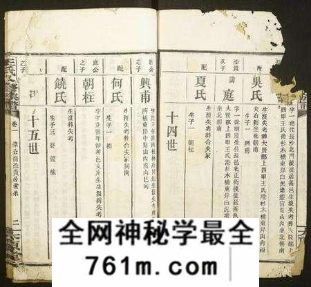 湖南王氏族谱-王氏八修族谱.pdf电子版