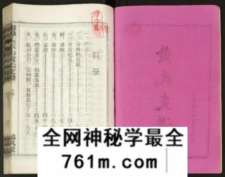 湖南黄氏族谱-街埠头东山黄氏支谱 [12卷,首1卷].pdf电子版