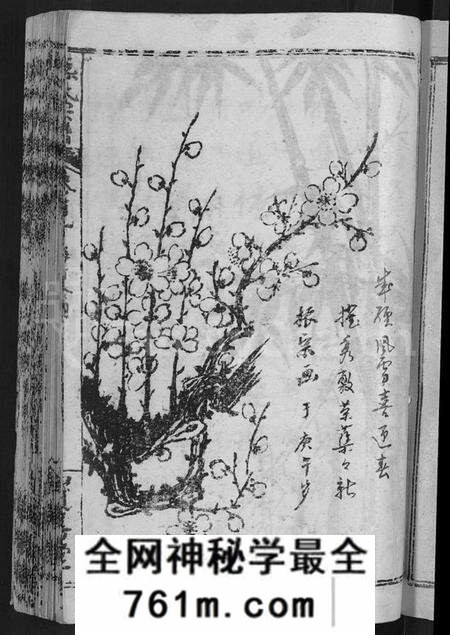 湖北熊氏族谱-熊氏举分宗谱 [29卷,首4卷](别名：熊氏宗谱、熊氏四修宗谱).pdf电子版