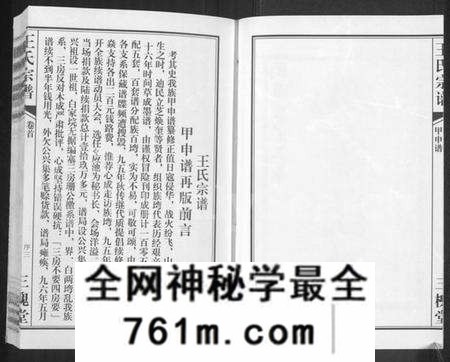 湖北王氏族谱-王氏宗谱 [11卷,首1卷].pdf电子版