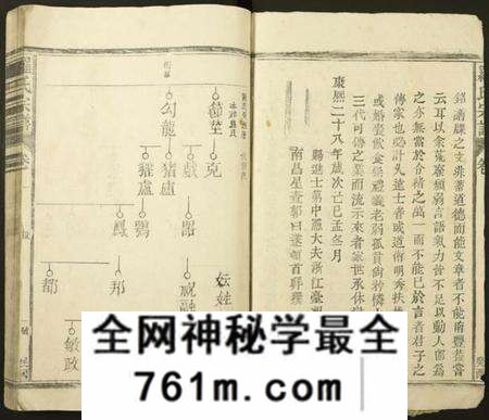 江西罗氏族谱-罗氏族谱.pdf电子版