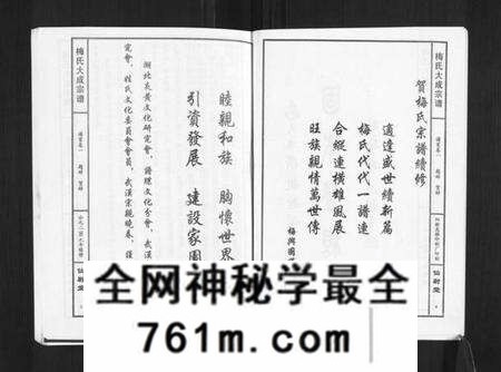 湖北梅氏族谱-梅氏大成宗谱[16卷首2卷].pdf电子版