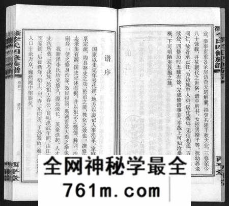 湖南李氏族谱-新泽李氏四修族谱.pdf电子版