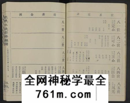 江西王氏族谱-王氏二次联修族谱[不分卷].pdf电子版