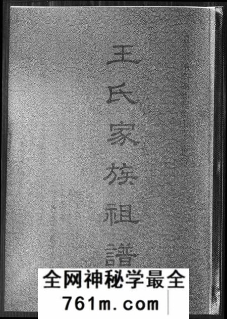 浙江王氏族谱-王氏家族祖谱.pdf电子版