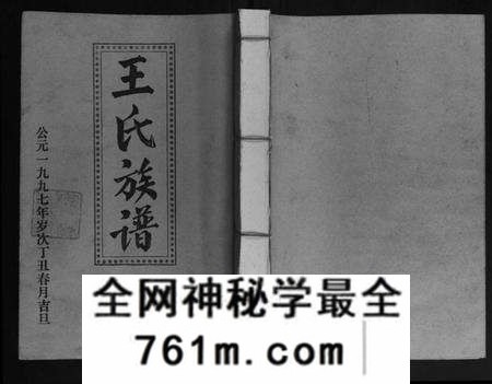 江西王氏族谱-王氏二次联修族谱.pdf电子版