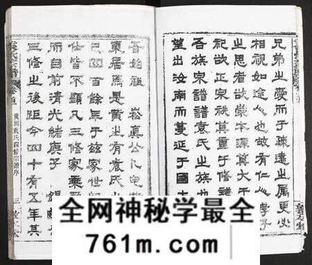 湖北袁氏族谱-袁氏宗谱.pdf电子版
